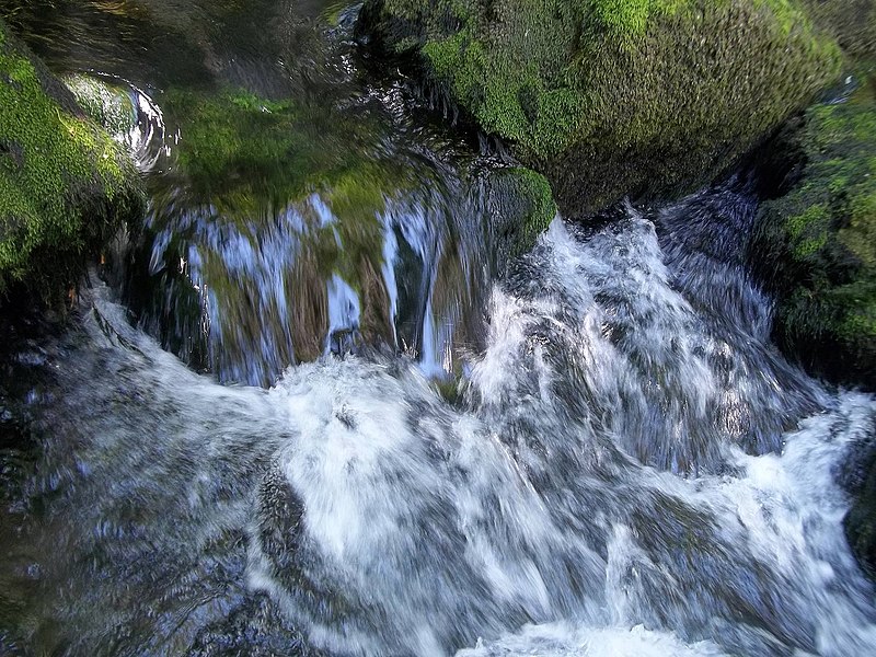 File:Посебни (геолошки) резерват природе Говјештица, Бања Стијена и Кањон Праче 29.jpg