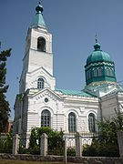 Rodnikivka