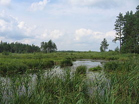 Río Zholobnitsa