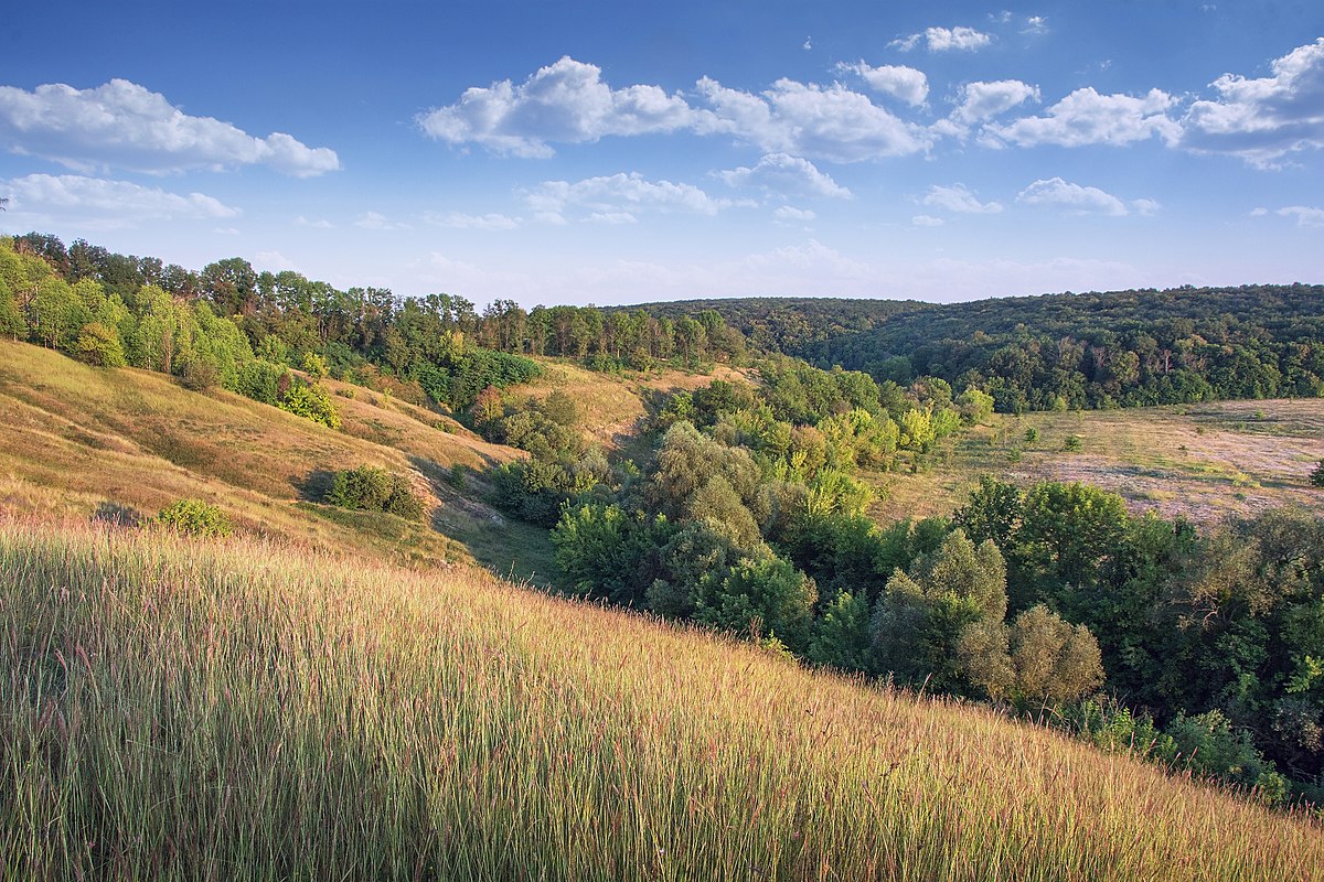 Урочище. Село стінка. Урочище Харьковской области. Урочище Харьковского района Украина. Стінка село чорткывський район.