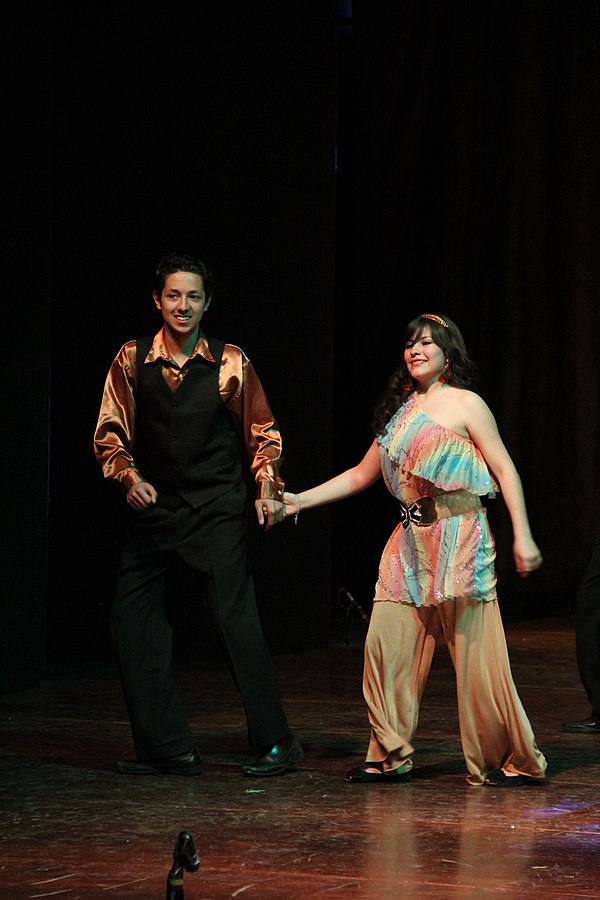 Disco dancers typically wore loose slacks for men and flowing dresses for women, which enabled ease of movement on the dance floor.