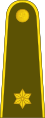Leitenantas (Litouwse landmacht)[50]