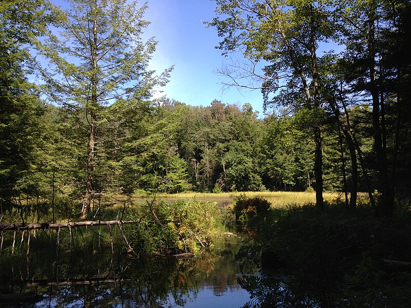 File:2013-08-25 11 50 43 View into Spring Lake from the beginning of the outlet in Berlin, New York.jpg