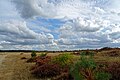 Miniatuurafbeelding voor de versie van 29 sep 2016 15:26