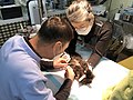 2021-04-05 10.10.31 강아지 중성화수술 봉합 제거.jpg