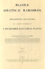 Thumbnail for Plantae Asiaticae Rariores