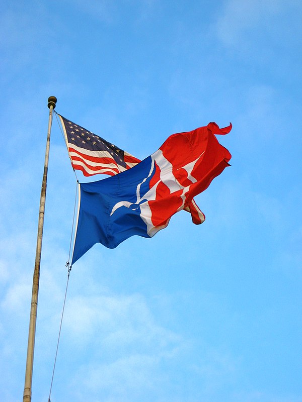 The American University flag