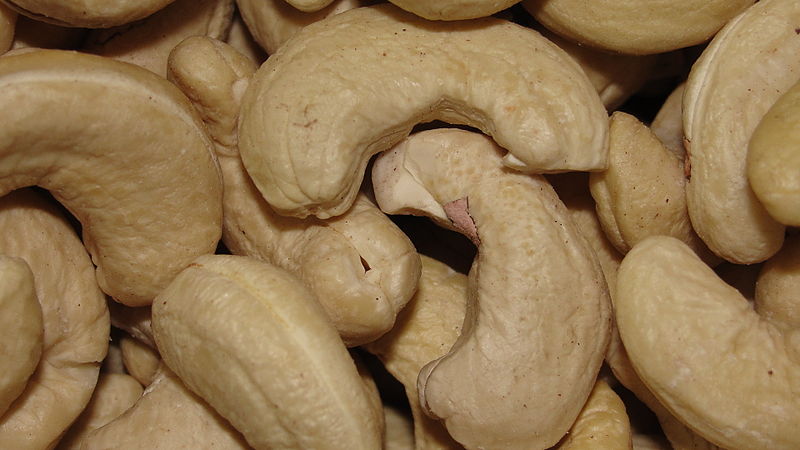 File:A closeup of cashew nut.JPG