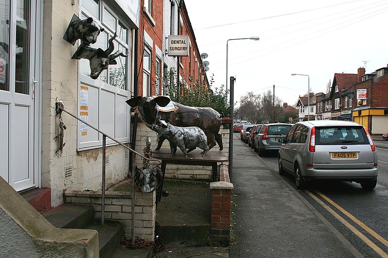 File:A new menagerie - geograph.org.uk - 1714786.jpg