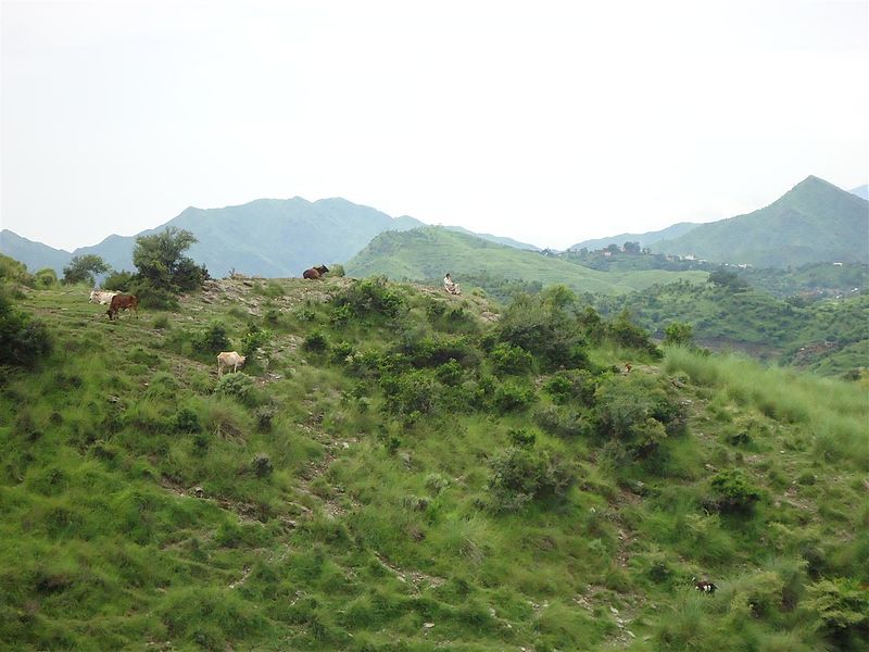 File:A village near mansehra 16.jpg