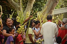 Palaspas, woven palm fronds during Palm Sunday celebrations in the Philippines A worship at the shrine of the Holy Infant Jesus of Prague, Davao City, Philippines.jpg