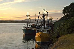 Tauranga: Stad in Nieuw-Zeeland