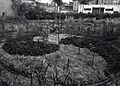 Adam Purple in his urban garden 1984..jpg