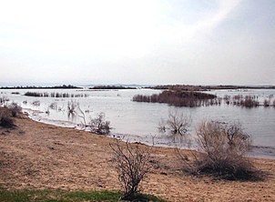 Überschwemmungslandschaft am nördlichen Ufer