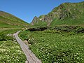 秋田駒ヶ岳ムーミン谷