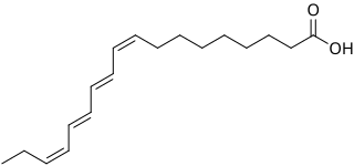 <span class="mw-page-title-main">Octadecatetraenoic acid</span> Index of chemical compounds with the same name