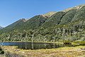 * Nomination Alpine tarn on Lewis Pass, South Island of New Zealand. --Tournasol7 00:01, 27 February 2019 (UTC) * Promotion Good quality. --Bgag 00:34, 27 February 2019 (UTC)