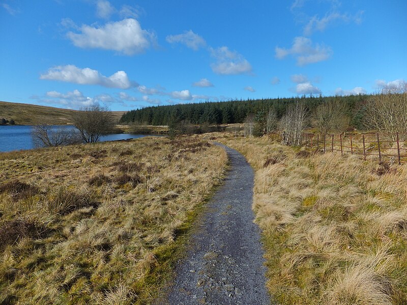 File:Alwen Trail footpath - geograph.org.uk - 4987688.jpg