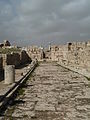 wikimedia_commons=File:Amman Citadel P1090429.JPG