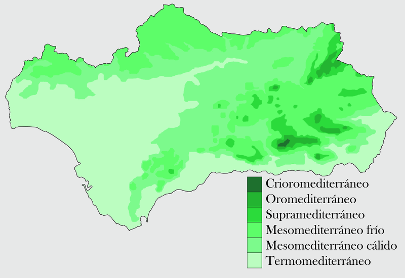 File:Andalucia pisos climáticos.png