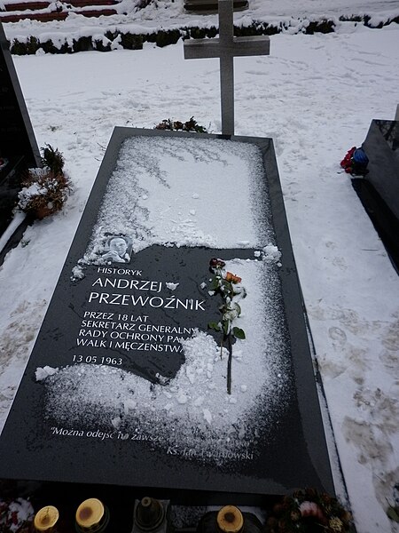 File:Andrzej Przewoźnik grób.JPG