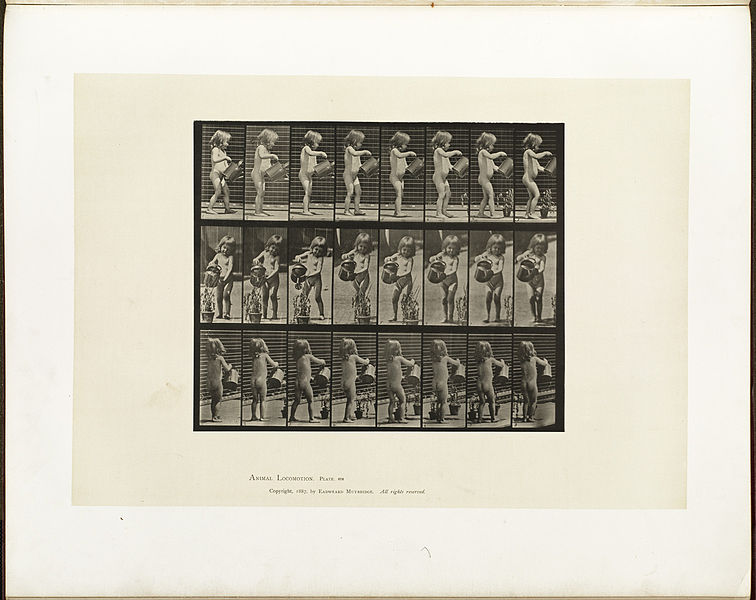 File:Animal locomotion. Plate 478 (Boston Public Library).jpg