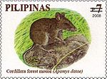 Thumbnail for Luzon montane forest mouse