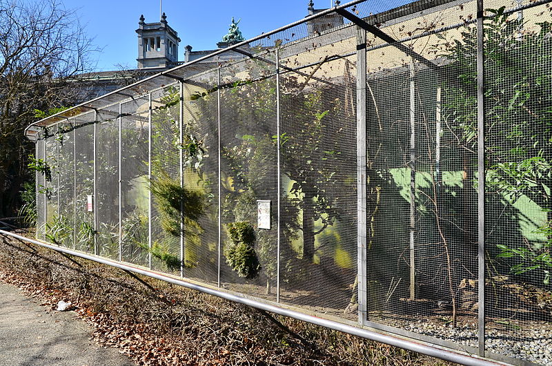 File:Arboretum Zürich - Voliere 2015-02-26 12-06-24.JPG
