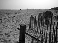 Saltaire Beach Beach @ Saltaire, Fire Island.jpg