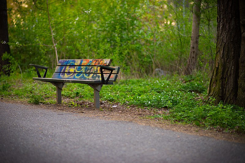 File:Bench (153552369).jpeg