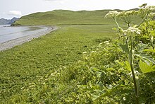 Bendel Island coastline Bendel Island coastline.jpg