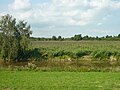 Bethunepolder gezien vanaf de dijk.