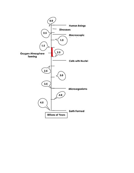 File:Biochem evolution timeline.jpg