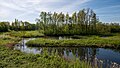 * Nomeamento Biotope on the Ruhr Valley cycle path in the city triangle of Duisburg, Mülheim and Essen --Tuxyso 19:22, 18 May 2024 (UTC) * Promoción  Support Good quality. --Plozessor 04:37, 19 May 2024 (UTC)