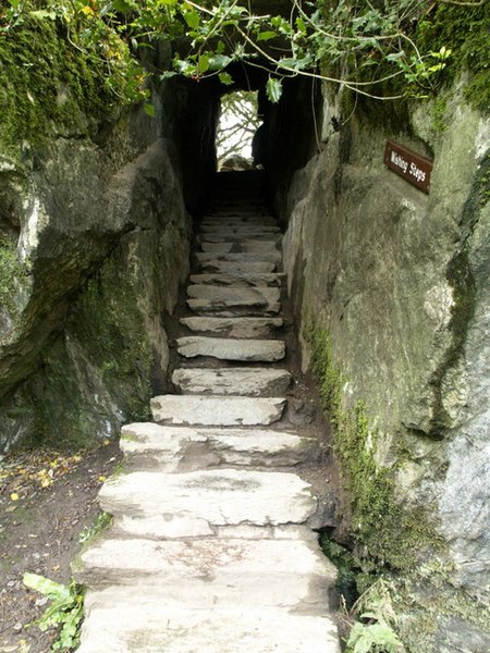 File:Blarney Castle Ground's Wishing Steps - geograph.org.uk - 596647.jpg