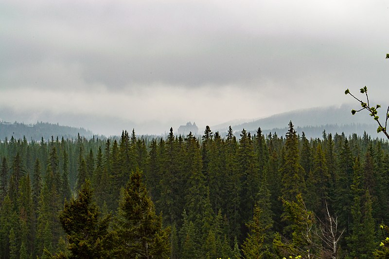 File:Bosque nublado.jpg