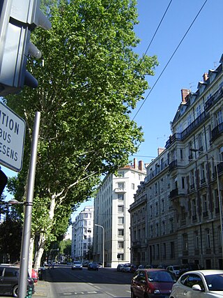 <span class="mw-page-title-main">Boulevard des Belges</span>