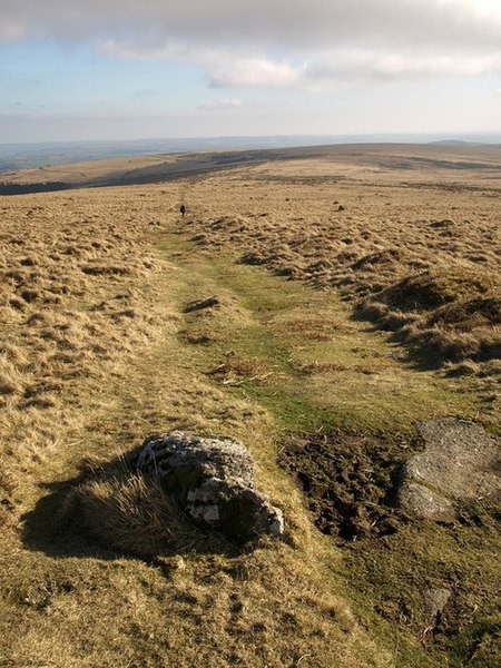 File:Boundary reave, Pupers Hill - geograph.org.uk - 1182567.jpg