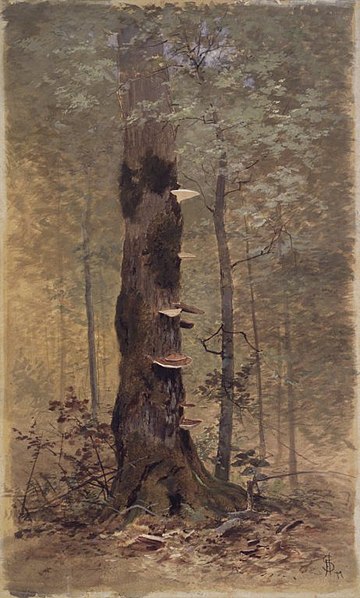 File:Brooklyn Museum - In the Woods - Francis Hopkinson Smith - overall.jpg