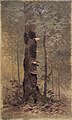 Brooklyn Museum - In the Woods - Francis Hopkinson Smith - overall.jpg