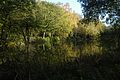 Brown's Pond at Sandleford, Berkshire. Designed by and named after Lancelot Brown.jpg