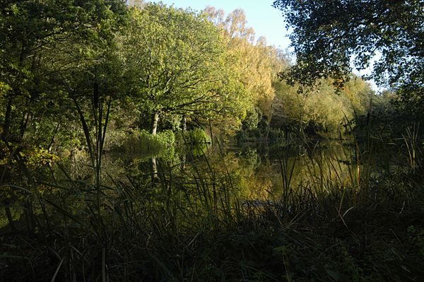 Brown's Pond at Sandleford, Berkshire. One of a string of former priory fish ponds adapted by Brown who was at Sandleford on behalf of Elizabeth Monta
