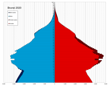 Brunei population pyramid in 2020 Brunei single age population pyramid 2020.png