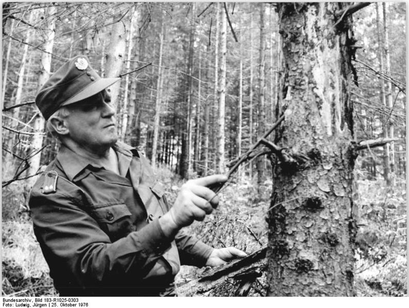 File:Bundesarchiv Bild 183-R1025-0303, Begutachtung eines Baums.jpg