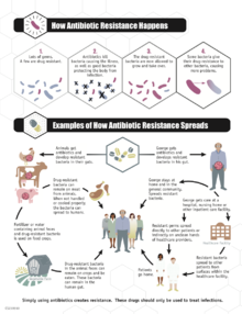 Antibiotic Resistance Program Wisconsin