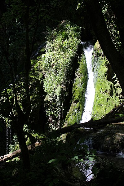 File:Cascade Ruisseau Balme Corveissiat 3.jpg