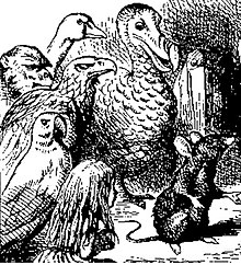 The Eaglet, the Duck, the Dodo, the Lory and others; illustration by John Tenniel Caucusrace.jpg