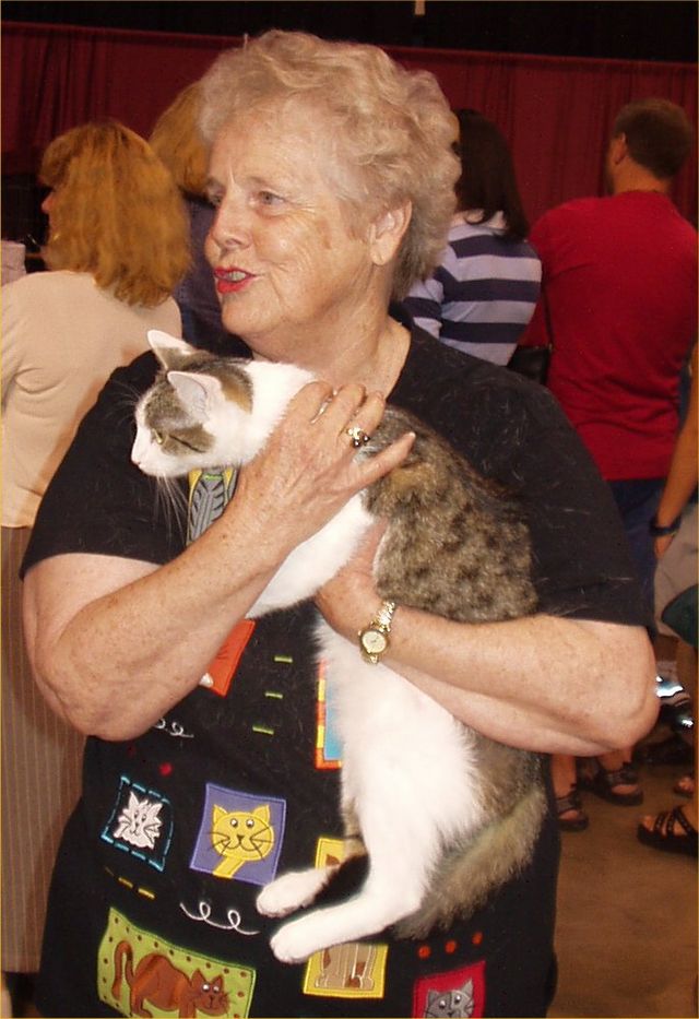 The Cat Lady - Wikipedia