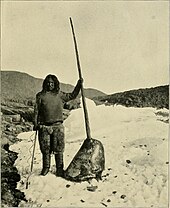 A man holding the head of a dead narwhal