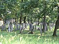 Thumbnail for Jewish Cemetery, Chrzanów